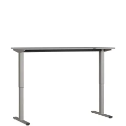 Bureaus^Huisenthuis Elektrisch Bureau Ergonoma Lichtgrijs 160 CM