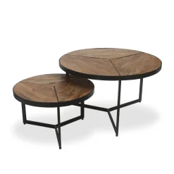 Salontafels^Huisenthuis Salontafel set India Mangolia Bruin