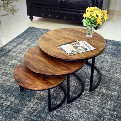 Salontafels^Huisenthuis Salontafel set Nolan Mangolia 3 Bruin
