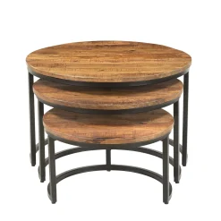Salontafels^Huisenthuis Salontafel set Nolan Mangolia 3 Bruin